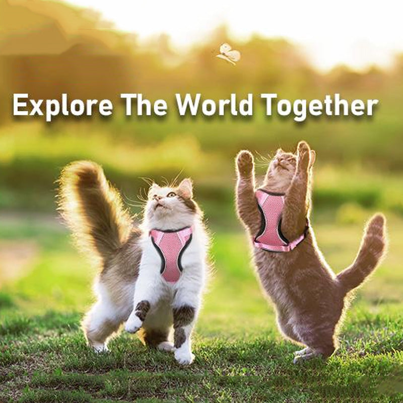 Adjustable Pet Harness & Leash Set