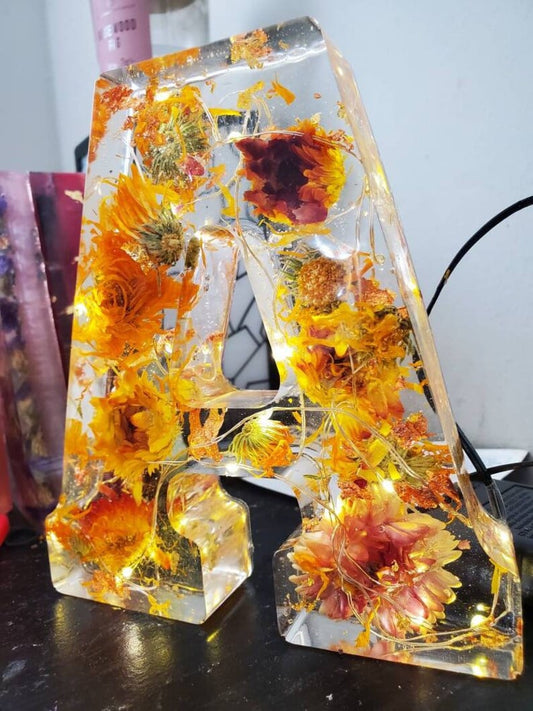 🌸Handmade Floral Resin Home Decor/ Night Light
