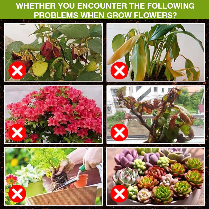 (🔥HOT SALE NOW 49% OFF) - Plant Growth Enhancer Supplement