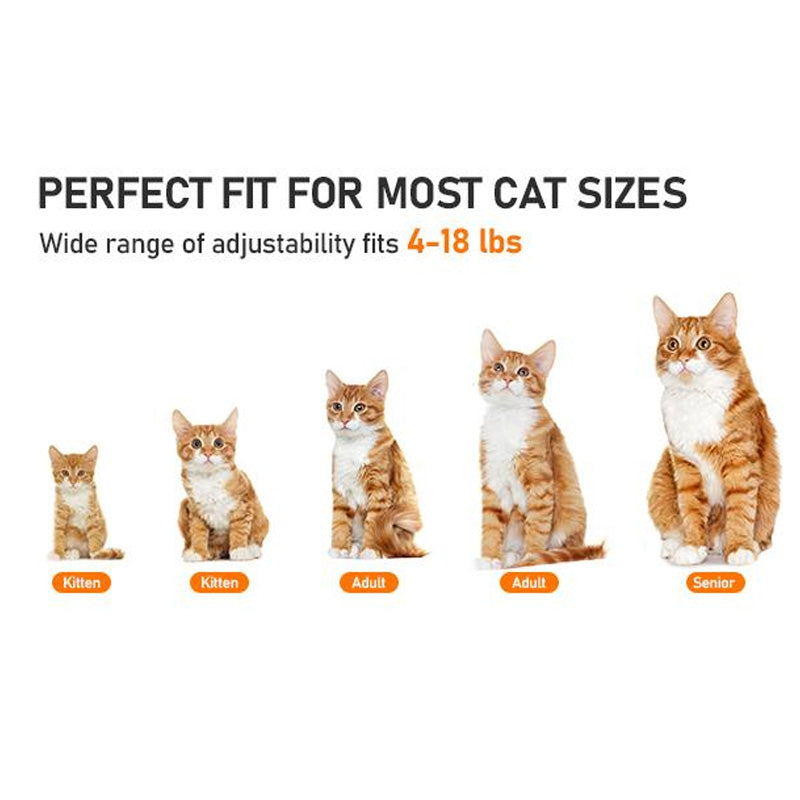 Adjustable Pet Harness & Leash Set