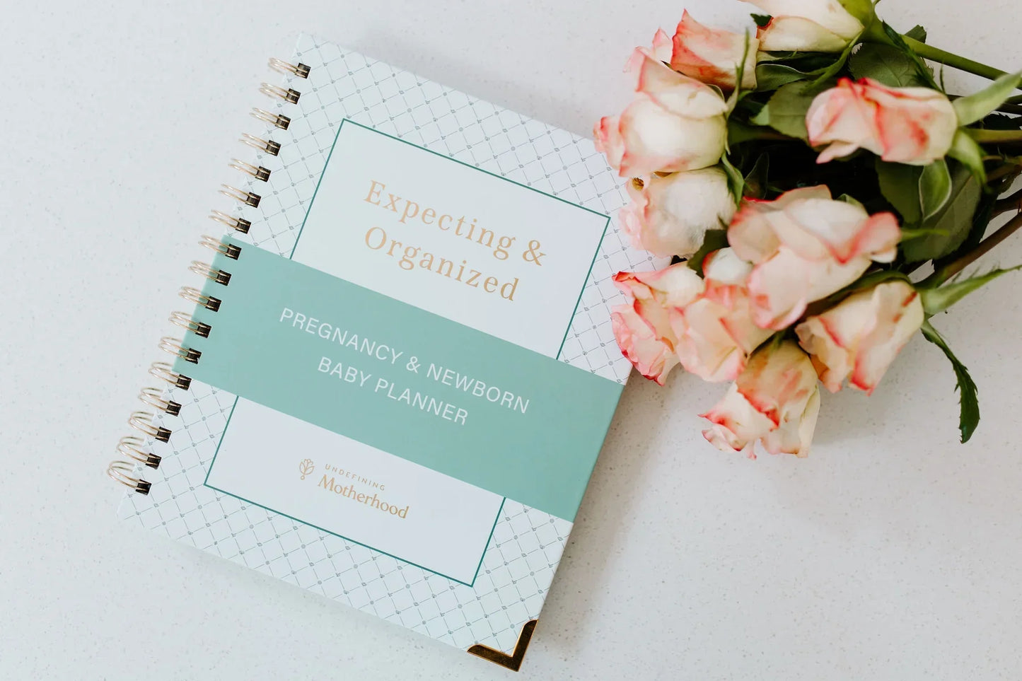 Expecting & Organized: Pregnancy Planner & New Baby Organizer