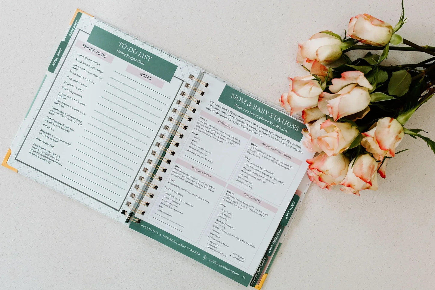 Expecting & Organized: Pregnancy Planner & New Baby Organizer
